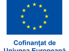Comunicat/ anunt de presa